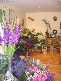 The Flower Loft   Florist Martock, Yeovil 1082816 Image 2